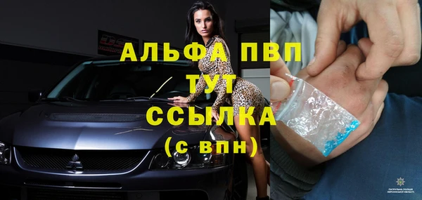 гашик Алексин