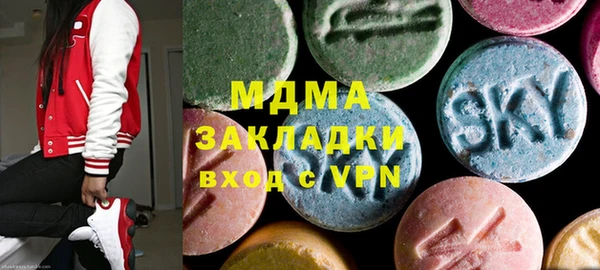 гашик Алексин