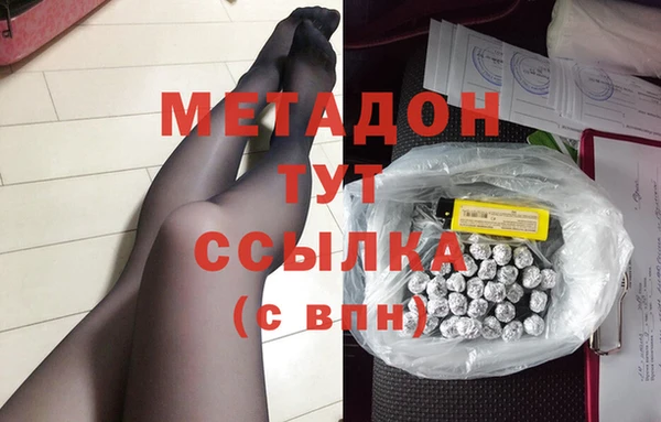 гашик Алексин