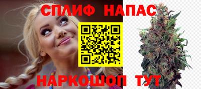 сатива Шелехов