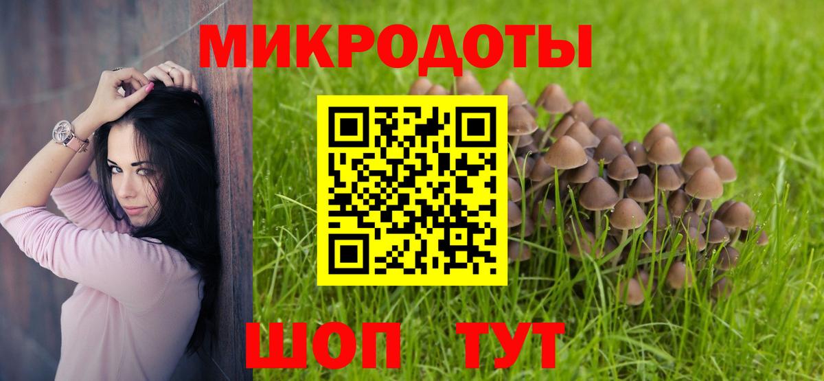 Галлюциногенные грибы MAGIC MUSHROOMS Богородск
