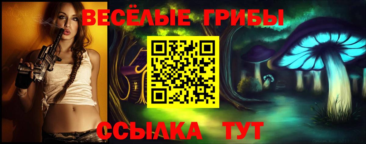 Галлюциногенные грибы ЛСД  Вход с VPN  Богородск  Псилоцибиновые грибы мухоморы 